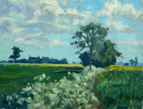 Cowparsley and Rape, Suffolk in May (HG242) Oil on Board 11.5