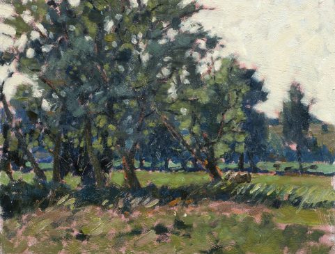 Willows on the Marshes, Mendham (HG244) Oil on Board 11.5