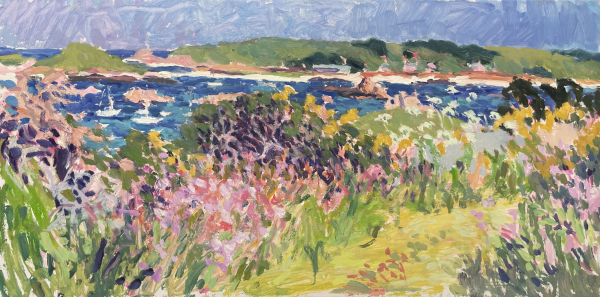 HG1620 Land of Flowers - Looking Towards St. Martin's Tresco 24x48